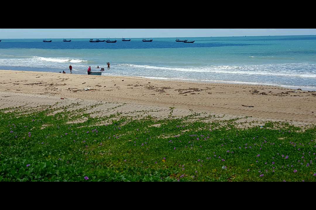 Vietnam Vietnam